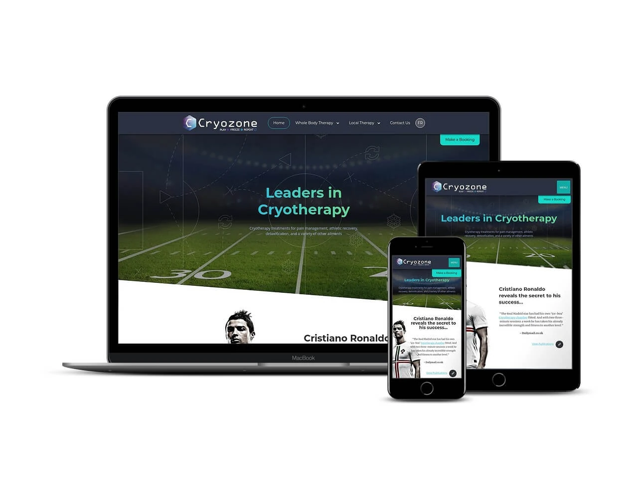 Original Cryozone website presentation with its purple, blue and turquoise brand identity