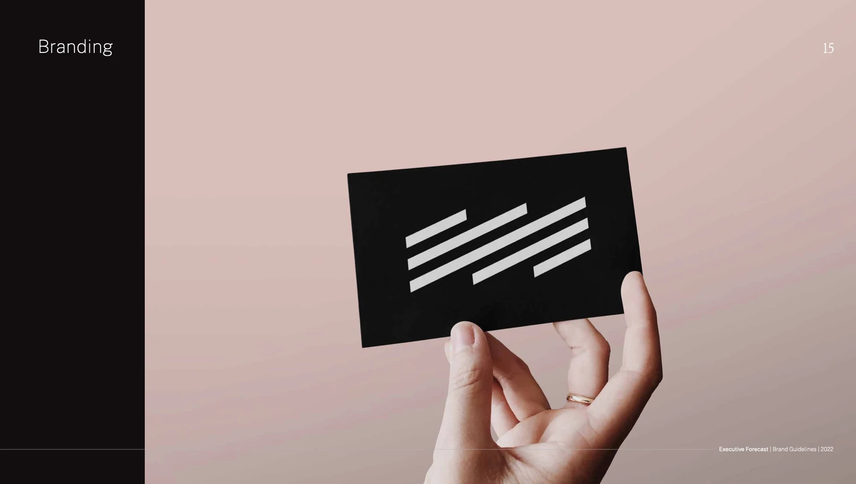 Executive Forecast brand guideline artwork showing its white geometric symbol on a black card