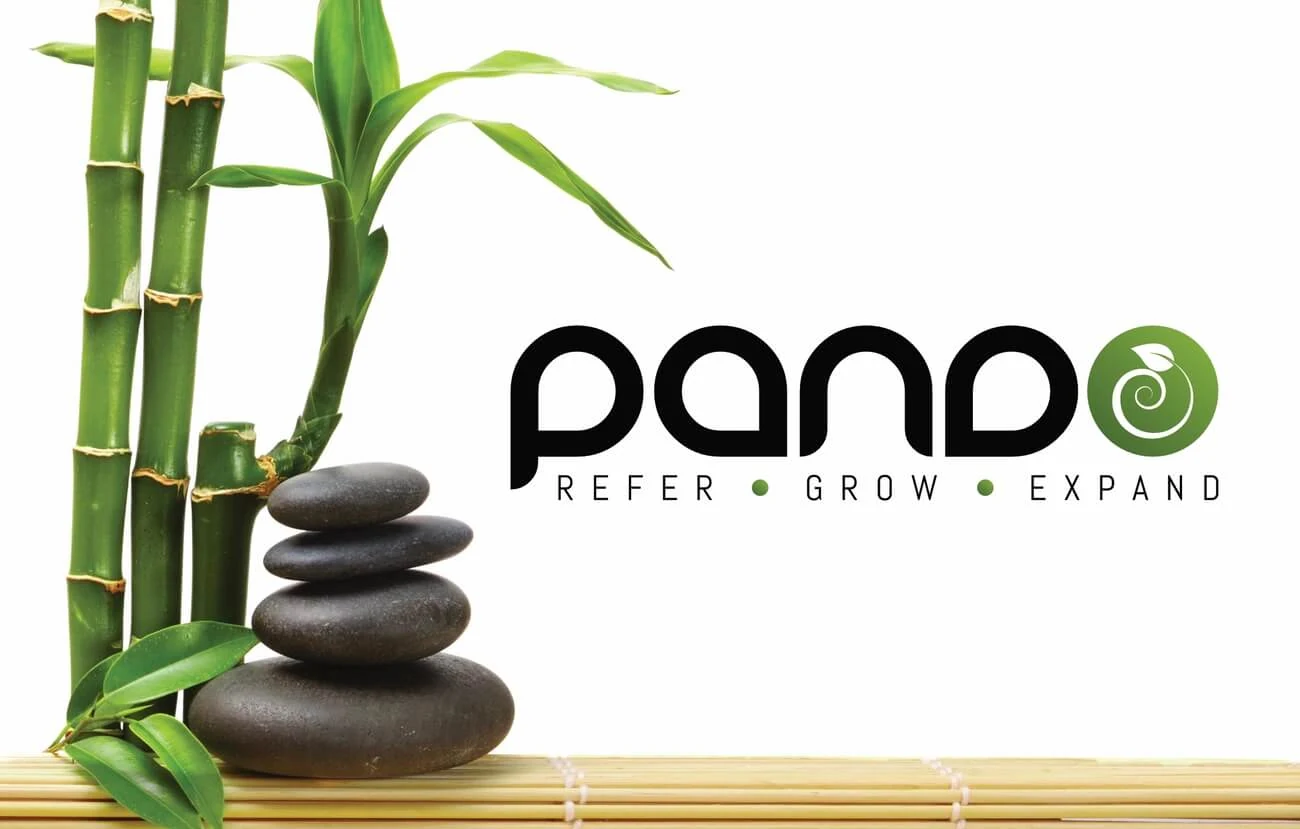 Pando’s original black and green identity with the Refer, Grow, Expand line